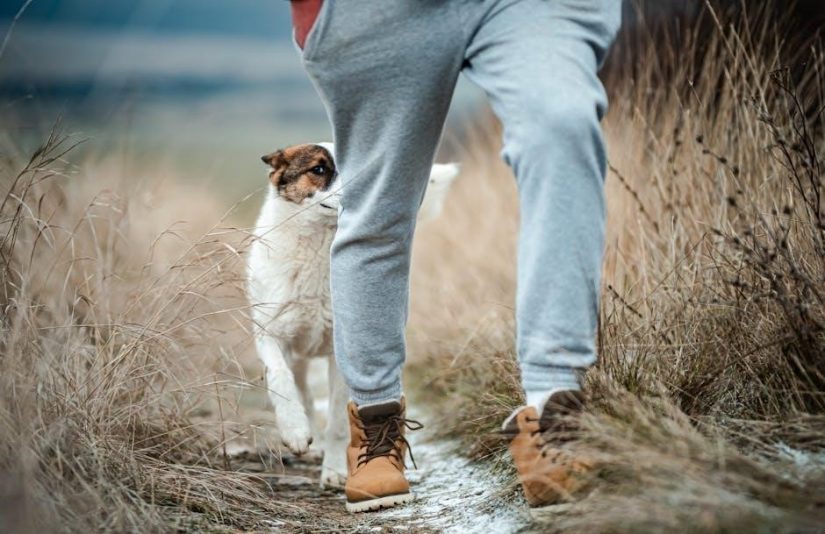 cowboy boot fit guide