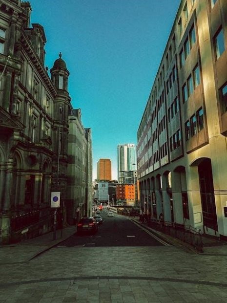 the watsons go to birmingham pdf