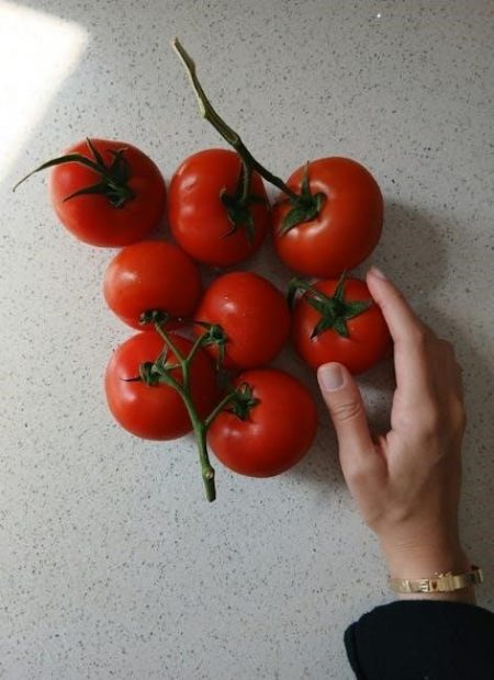 guido’s hand