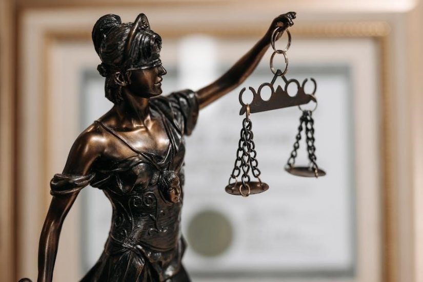law for dummies pdf